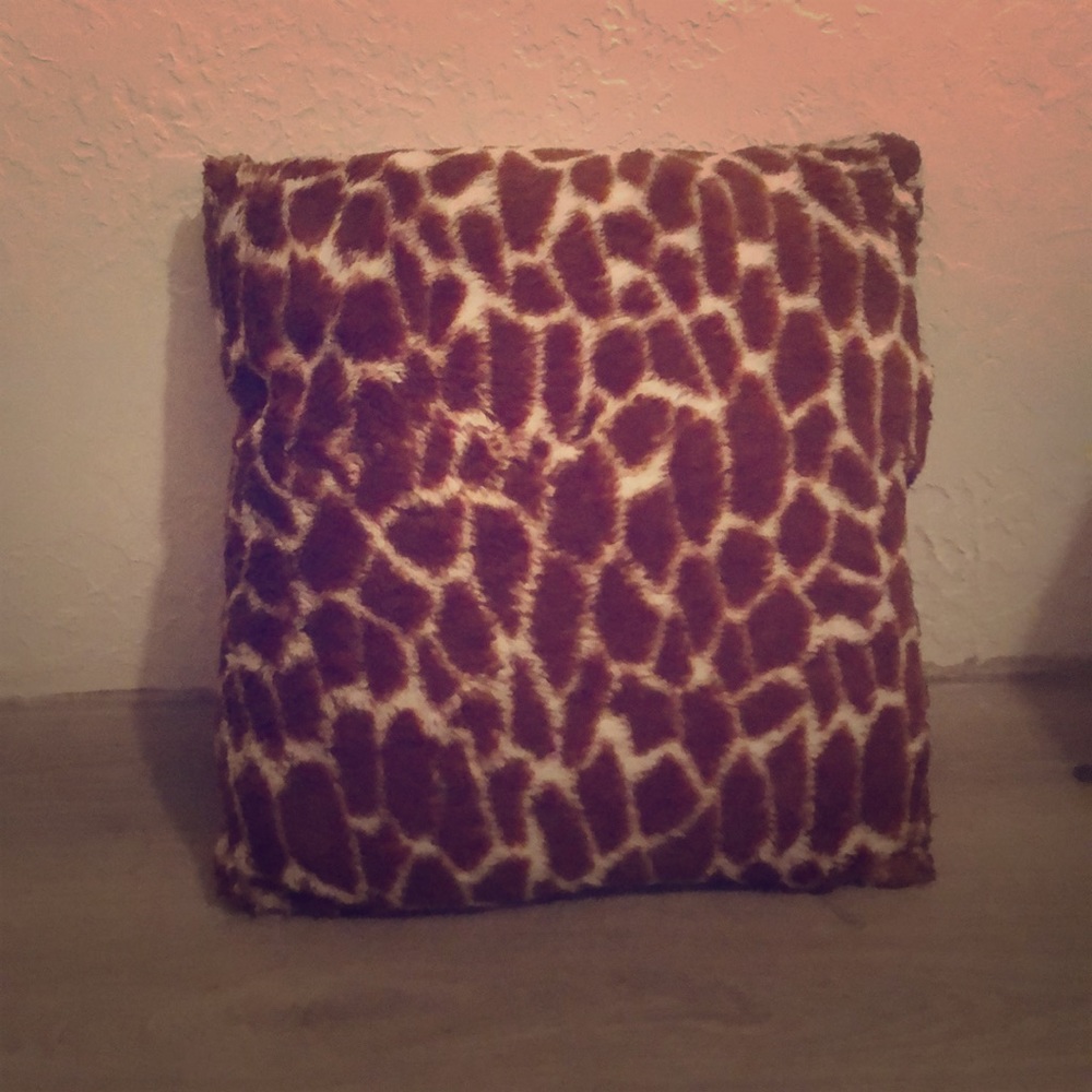 Accent Pillow